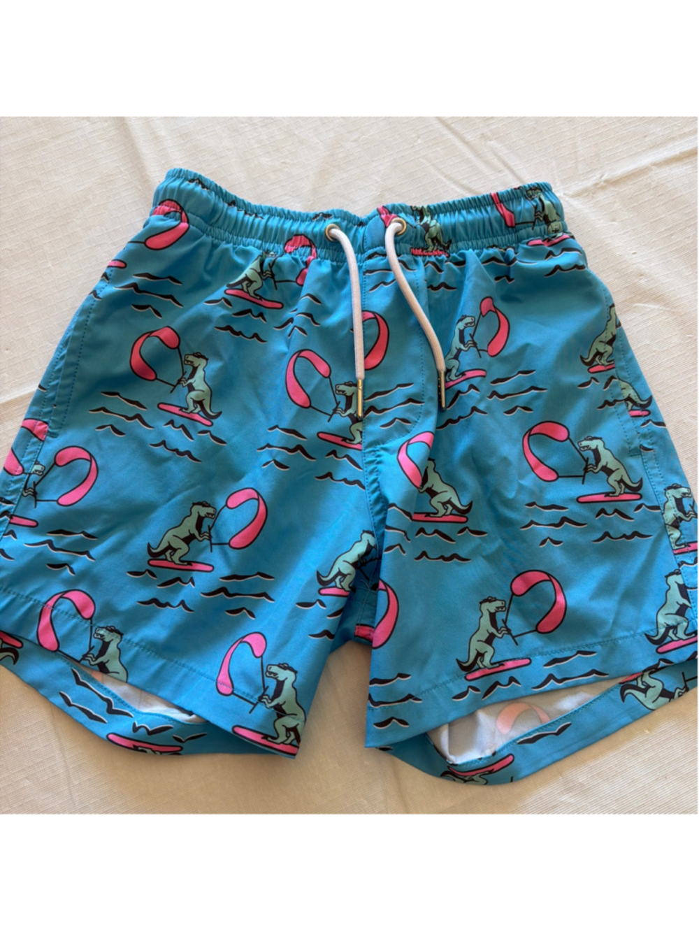 Boys Bermies Swim Trunks Size 7 Blue Pink Dinosaur Print